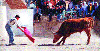 Sin garbo, pero audaz, el torero de la Puna provoca al toro, presto ya para la embestida.