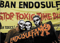 El endosulfán es el insecticida de mayor uso en el país y desde hace décadas viene siendo cuestionado.