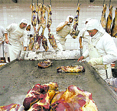 http://www.pagina12.com.ar/fotos/cash/20090823/notas_c/frig.jpg