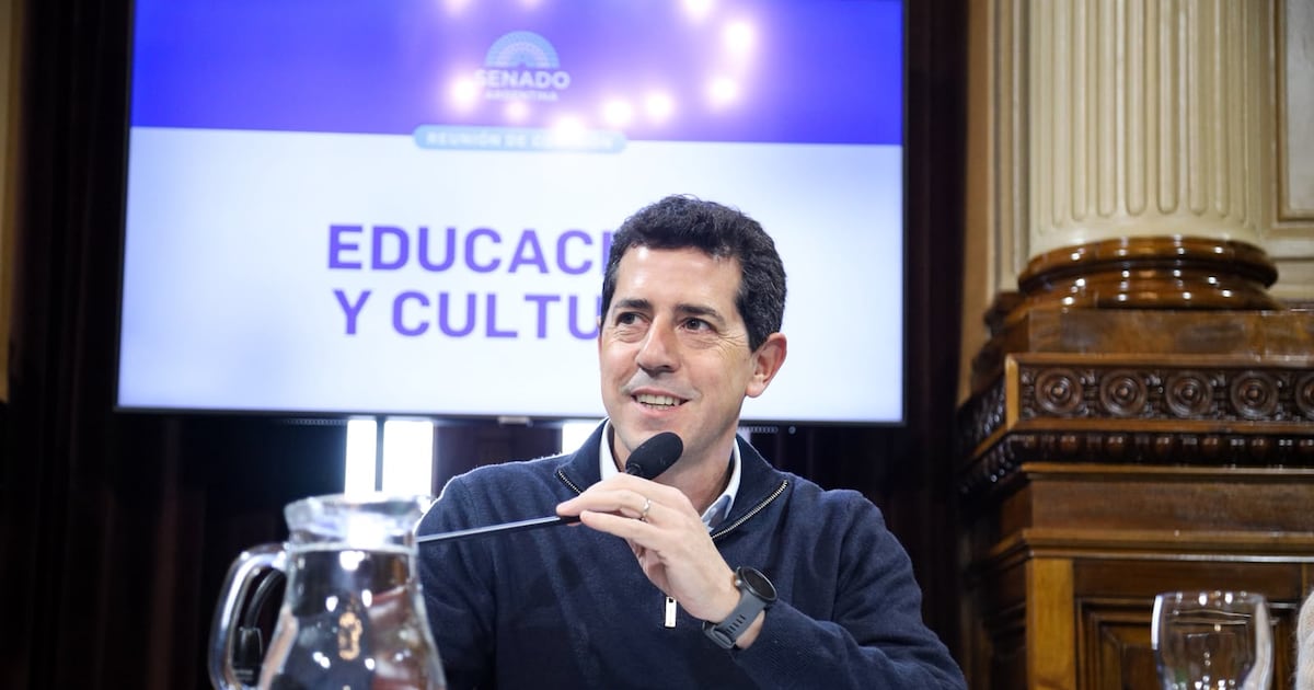 Un debate para cuidar a las infancias en los entornos digitales - Pagina 12 thumbnail