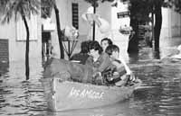 na19fo01.jpg (10416 bytes)