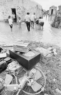 na20fo01.jpg (15994 bytes)