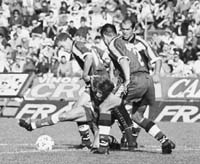 bu04fo01.jpg (17301 bytes)