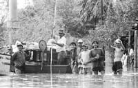 na32fo01.jpg (6192 bytes)