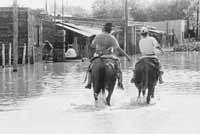 na18fo01.jpg (8240 bytes)