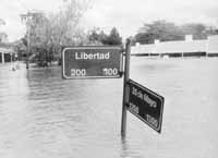 na18fo02.jpg (7256 bytes)