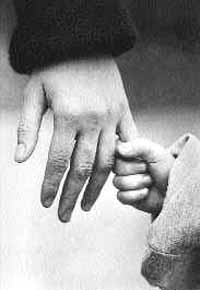 na32fo01.jpg (9010 bytes)