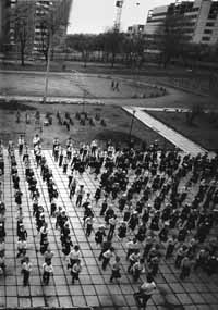 na25fo01.jpg (17623 bytes)