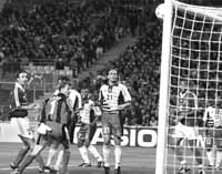 na23fo01.jpg (15749 bytes)