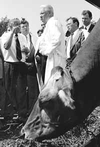 na17fo01.jpg (15031 bytes)