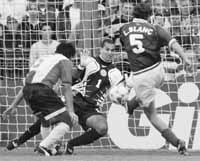 bu11fo01.jpg (15458 bytes)