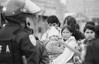 na12fo01.jpg (8165 bytes)