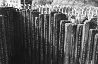 na13fo01.jpg (10773 bytes)