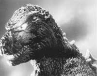 na25fo02.jpg (10384 bytes)