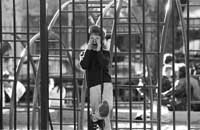 na15fo01.jpg (12620 bytes)