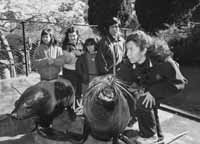 na17fo02.jpg (11611 bytes)