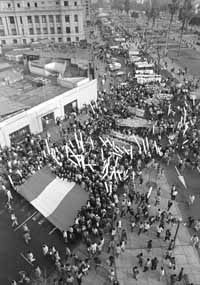 na24fo01.jpg (20223 bytes)