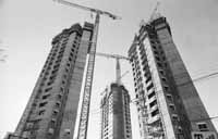 na13fo01.jpg (8543 bytes)