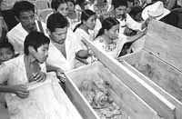 na26fo01.jpg (11984 bytes)