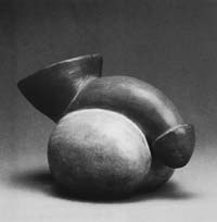 na33fo01.jpg (6071 bytes)