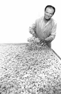 na10fo01.jpg (14408 bytes)