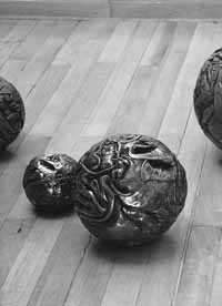 na33fo01.jpg (10221 bytes)