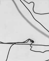 na28fo01.jpg (6887 bytes)