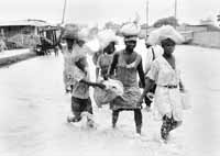 na21fo01.jpg (8926 bytes)