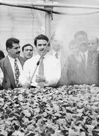 na18fo01.jpg (15981 bytes)