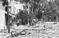 na10fo01.jpg (12309 bytes)