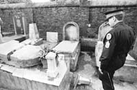 na11fo01.jpg (12139 bytes)