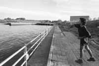 na03fo01.jpg (7817 bytes)