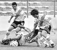 bu08fo02.jpg (15317 bytes)