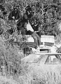 na09fo01.jpg (19688 bytes)