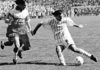 bu07fo02.jpg (11776 bytes)