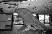 na36fo02.jpg (8840 bytes)