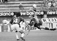 bu04fo05.jpg (11617 bytes)