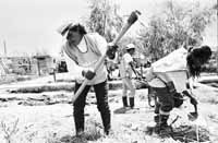 na14fo01.jpg (11985 bytes)