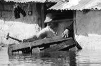 na19fo01.jpg (10043 bytes)