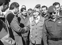 na21fo01.jpg (12746 bytes)