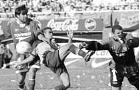 bu05fo30.jpg (12383 bytes)