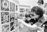 na12fo01.jpg (12410 bytes)