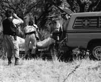 na15fo01.jpg (12757 bytes)