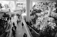 na09fo01.jpg (13716 bytes)