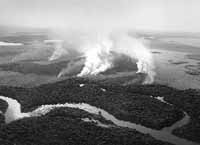 na36fo01.jpg (7047 bytes)