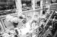 na10fo01.jpg (13076 bytes)