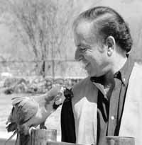 na03fo03.jpg (11680 bytes)