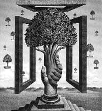 na32fo01.jpg (17627 bytes)