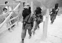 na25fo01.jpg (9540 bytes)