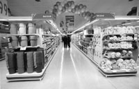 na10fo01.jpg (13149 bytes)